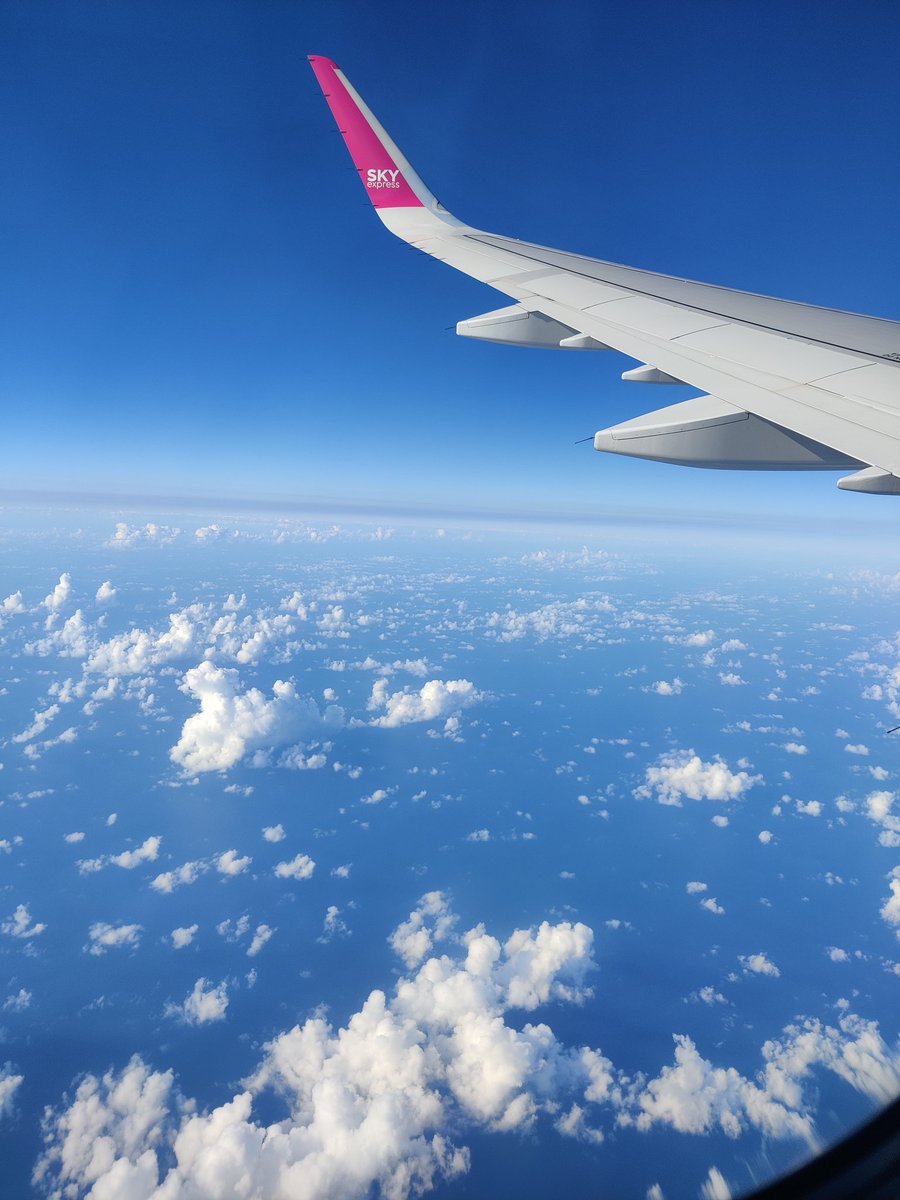 SavvyDev06 tweet media