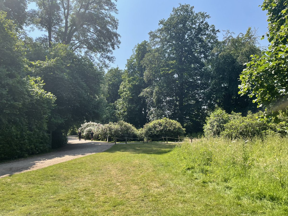 It was lovely to start the weekend with the MS Society UK #shrewsbury group, #nordicwalking at the beautiful Attingham Park NT. 
#BritNW #WeAreNordicWalking @NordicWalkingTelford #BetterHealth #BerwynWalks #nordicwalking #inwa <a href="/BerwynWalks/">Berwyn Nordic Walking & Guided Walks</a> #TelfordNordicWalking #walking #outdoors