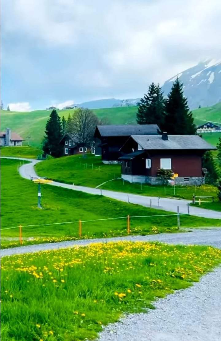 🇨🇭 Switzerland 🌲🏡🍃🌼