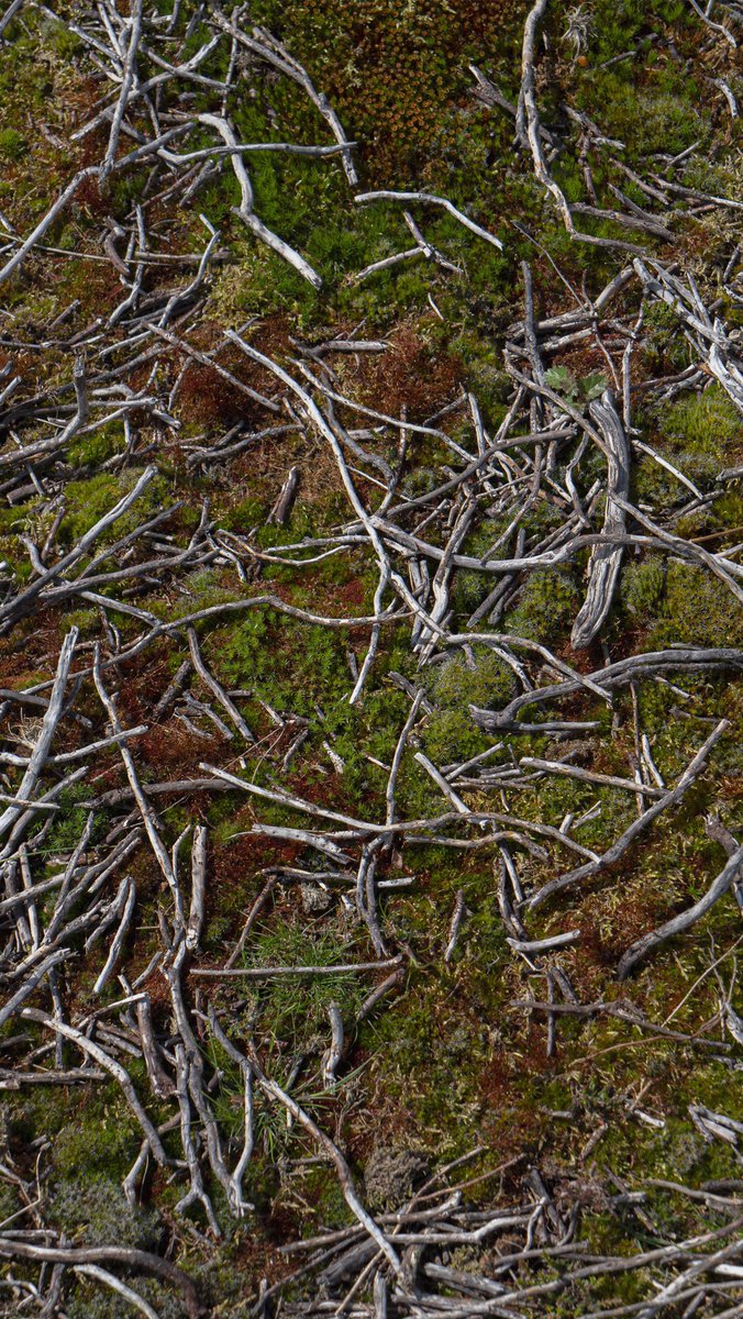 James Roper (@jamesroperart) on Twitter photo 