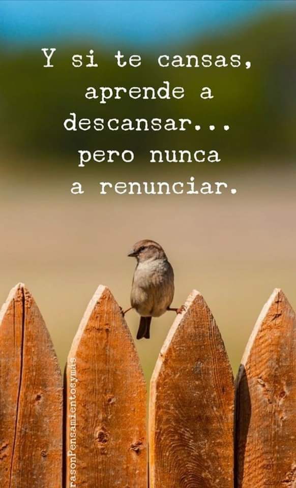 VidaEquilibrada (@vidaequilibrad4) on Twitter photo 