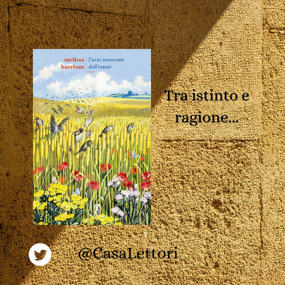 #Recensione di @CasaLettori

#LAriaInnocenteDellEstate Melissa Harrison @FaziEditore

#FotoConLibri a #CasaLettori 

@tafudany1 @annaritadenardo @lagatta4739 @deb_pisano
@LoredanaStella @LorenzinaMoro

casadeilettori.blogspot.com/2023/06/laria-…