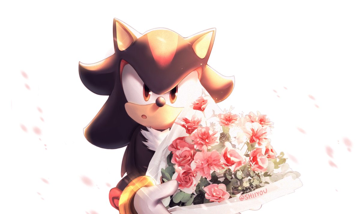 HAPPY BDAY TO THIS HEDGY 🤧✨✨✨
-
#ShadowTheHedgehog #Sonic #SonicTheHedgehog #illustration