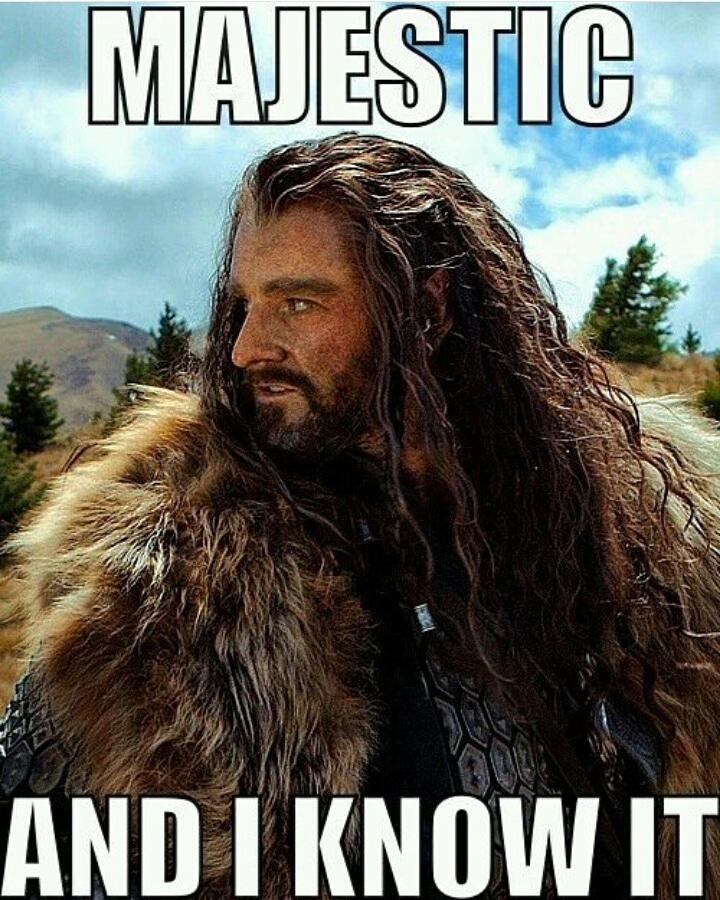 @majormarianna1 Have a #MajesticMonday, Marianna. 👑⚔️ #RichardArmitage  #Thorin #TheHobbit