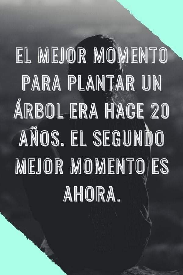 PaCKidermO's tweet photo. Sembrar y Cuidar #Árboles es de vida o muerte, el #tiempo ya no está de nuestro lado del todo. #OlaDeCalor #CambioClimático #Recicla #Reduce #Reutiliza #Repara #Recompone #Compacta El Consumismo Responsable... Debe ser ya!!! 🌱 #PaCKidermO 🐘 https://t.co/ivepROwl3D