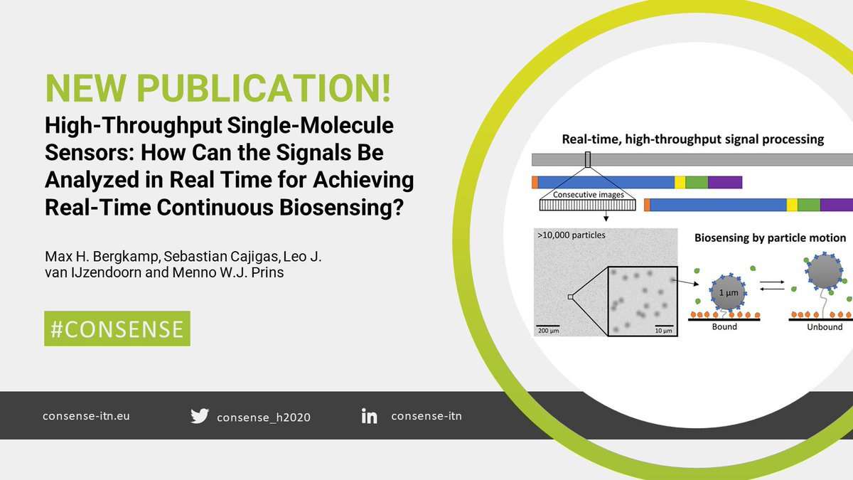 Excited to share next CONSENSE publication! 
Excellent work done by Sebastian Cajigas and Menno Prins from our network. 

Check the paper out here 👇
pubs.acs.org/doi/10.1021/ac…

#CONSENSE #mscactions #horizon2020 #horizoneurope #biosensing