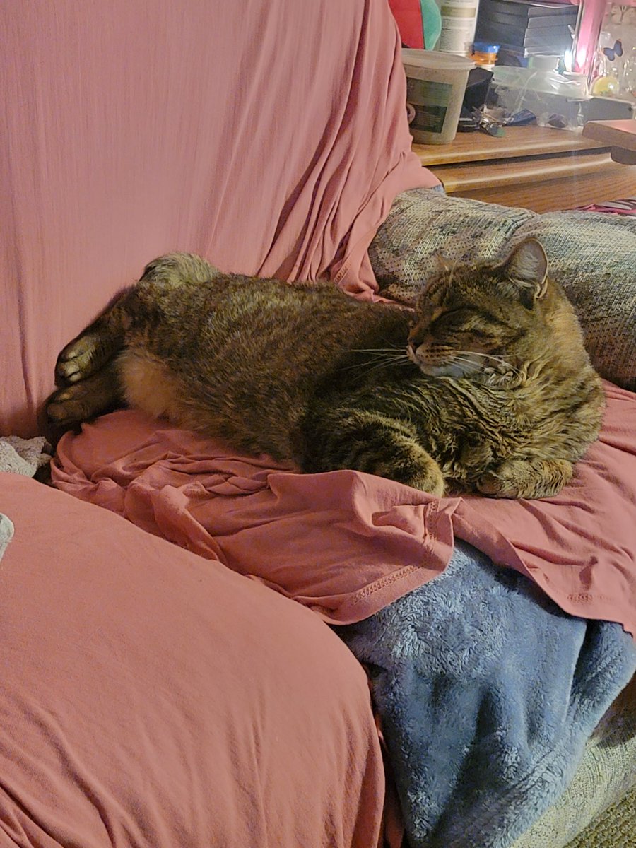 THICCorTR3AT's tweet photo. https://t.co/I92bFbrL5a