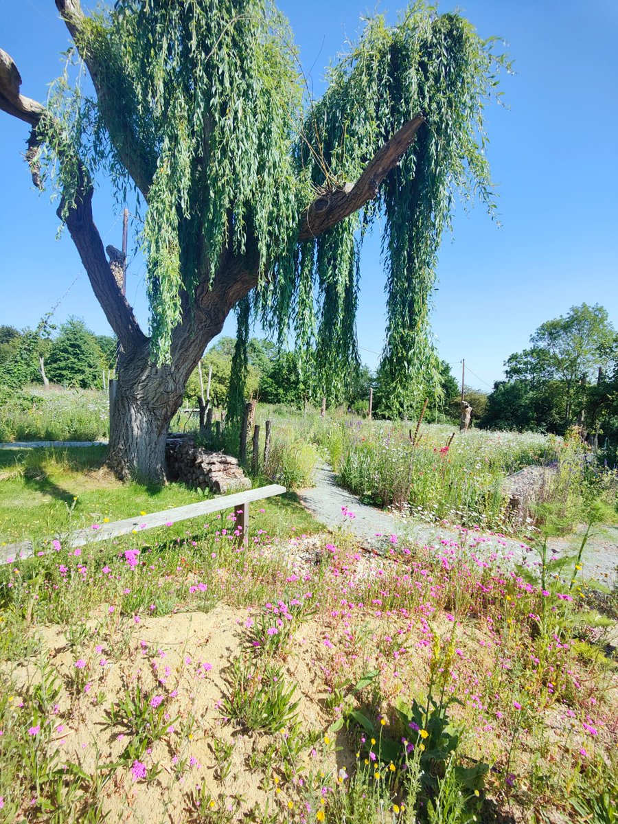 Landscaping Solutions tweet media