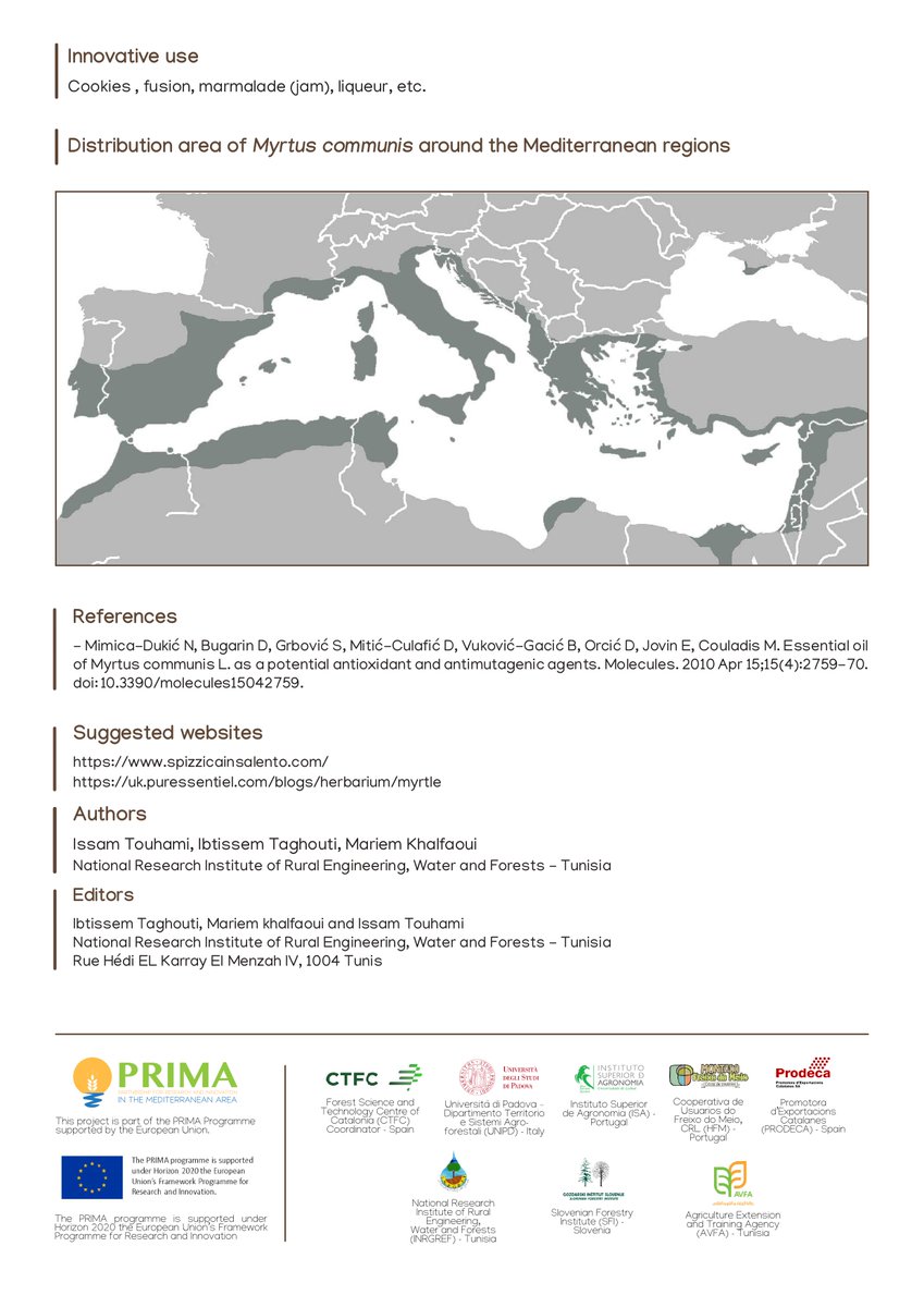 Did you know that Myrtus communis L. is appreciated for its numerous therapeutic virtues?  

It is used in dermatology, because it has antiseptic, astringent, hemostatic and softening properties.   #WildFood