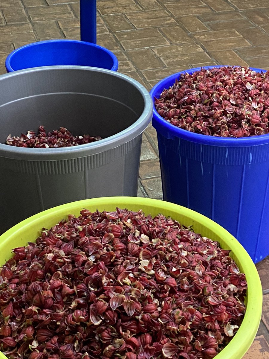 Linga Fruit Winery on Twitter "That time of year presenting “The