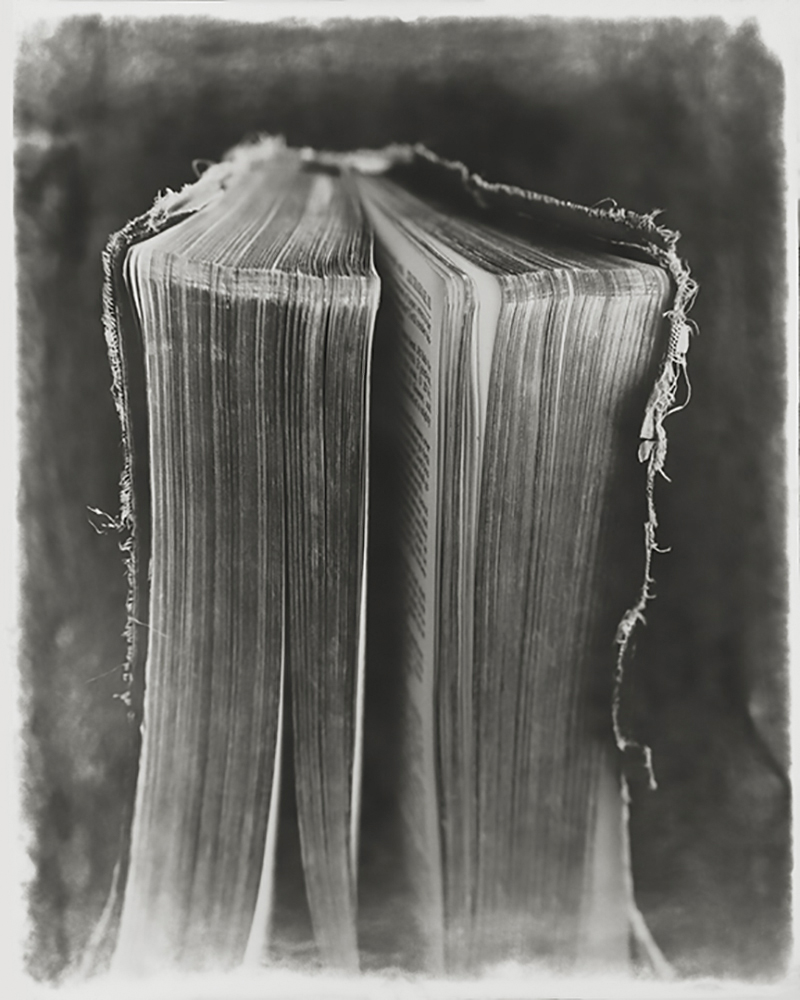 cammisafra's tweet photo. ...quando una persona ti regala un libro (che forse hai già letto), davanti a lei devi fingere di non averlo letto, perché il vero regalo è poter donare un'esperienza di lettura, non riceverla.

Fredrik Backman

📷Robert Stivers
#FotoConLibri #CasaLettori 
https://t.co/wPbXERmyFz https://t.co/YmcLhdY5B8