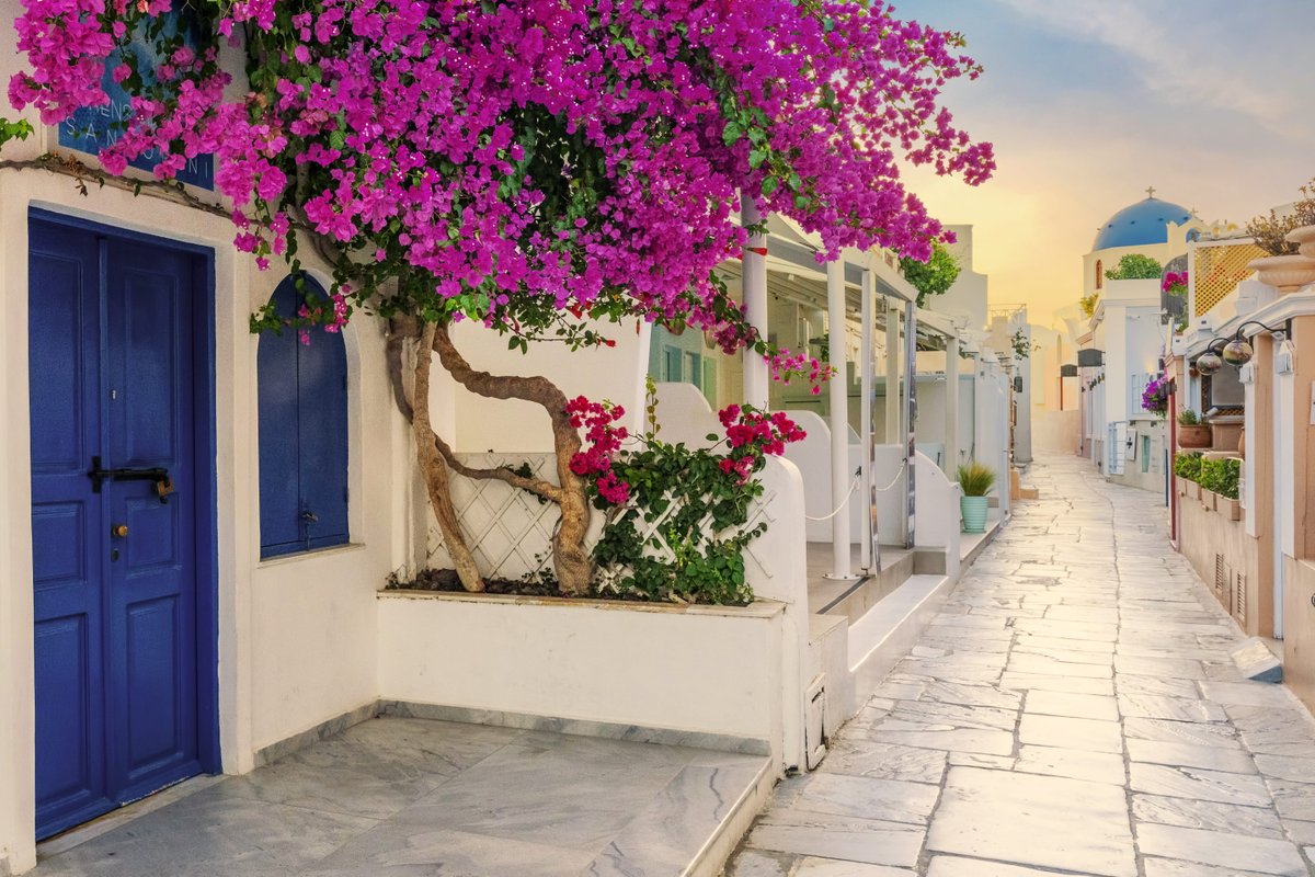 📌 View of Oia street in the morning 🇬🇷

#santorini #greekmood
