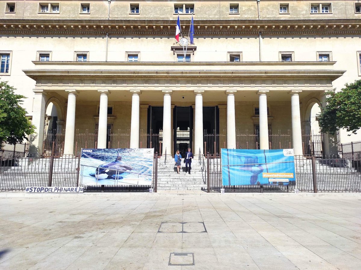 Audience ce 19 juin à la cour d’appel d’Aix-en-Provence. Nous demandons une expertise vétérinaire in-dé-pen-dan-te sur l’état de santé des orques Inouk & Moana ainsi que sur leurs conditions de détention (qualité de l’eau, état des bassins...). #SauvonsNosOrques #StopDelphinarium