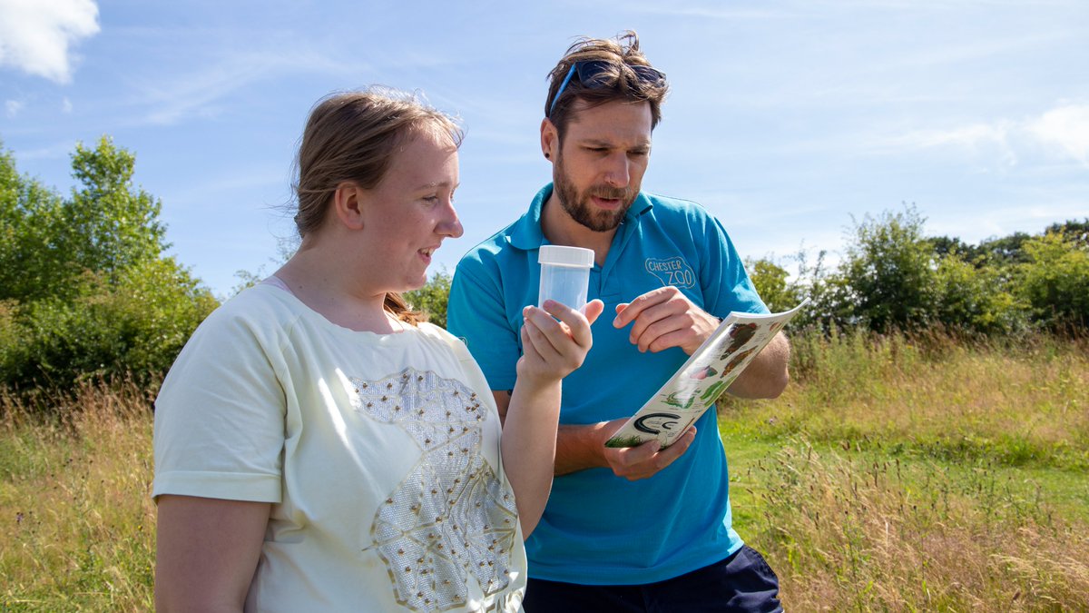 LearnatCZ's tweet photo. JOB ALERT!

We're looking for a Community Engagement Manager!

You'll be responsible for developing and managing our work with communities, volunteering and on supporting conservation education work internationally.

Find out more 👇 

https://t.co/XpEAkYXCIQ https://t.co/fa6tcoMDO2