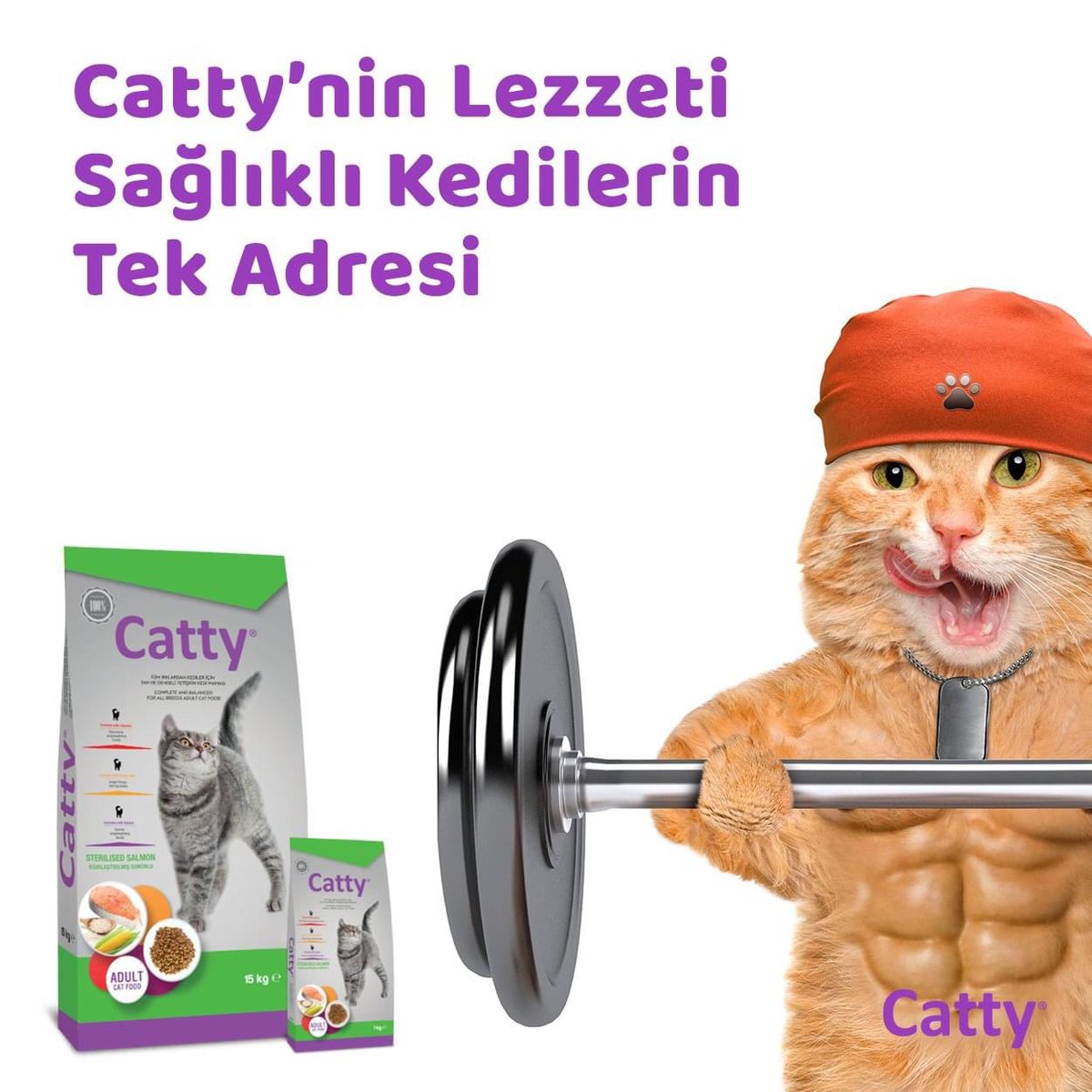CattyCatFood's tweet photo. Catty Kısırlaştırılmış Yetişkin Kedi Maması, somunlu lezzeti ile kilolu veya kısırlaştırılmış kediniz için sağlıklı kilo kontrolü sağlar, tüm temel besinleri titizlikle sunar.   

#Catty #Kedi #KediMaması #YavruKedi #YavruKediMaması #Cat #CatFood #CatLovers https://t.co/ALmSr0O7oA