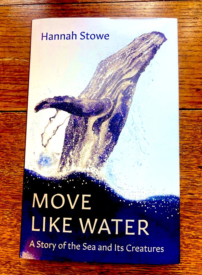 Up early for #coffee & #watering. I finished this magical book from the brilliant @hannahlilystowe which is essentially all about our most powerful relationships & how they tug at us & tie us firm. Mother-Daughter, Land-Sea, Human-Animal, Home-Adventure all deeply intertwined🐋💙