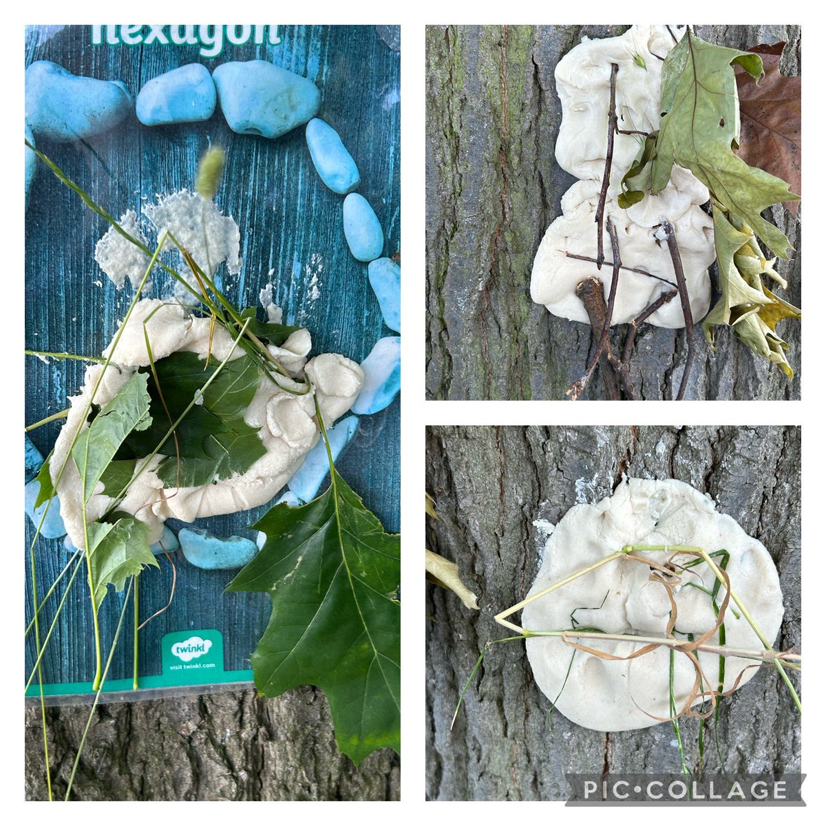 Greenacres tweet media