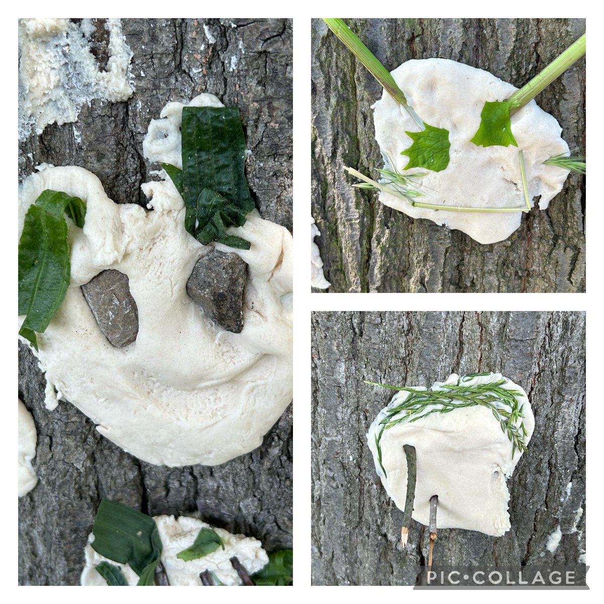 Greenacres tweet media