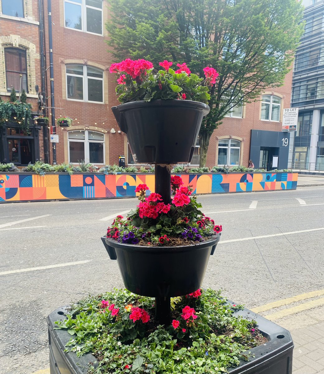 LinenQuarterBID's tweet photo. The BID funds planters along GVS each year, but this year we commissioned more for across the district. Look out for our vibrant #belfastinbloom flower towers along Bedford Street &amp; Dublin Road, here until Sept &amp; maintained by @belfastcc 

@InvestNI @BelfastICC @pugs_boneyard https://t.co/CJuitldlMB
