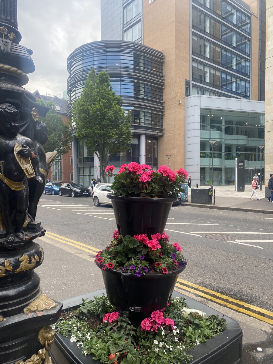 LinenQuarterBID's tweet photo. The BID funds planters along GVS each year, but this year we commissioned more for across the district. Look out for our vibrant #belfastinbloom flower towers along Bedford Street &amp; Dublin Road, here until Sept &amp; maintained by @belfastcc 

@InvestNI @BelfastICC @pugs_boneyard https://t.co/CJuitldlMB