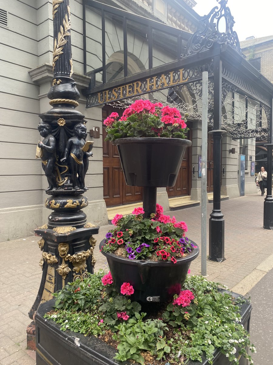 LinenQuarterBID's tweet photo. The BID funds planters along GVS each year, but this year we commissioned more for across the district. Look out for our vibrant #belfastinbloom flower towers along Bedford Street &amp; Dublin Road, here until Sept &amp; maintained by @belfastcc 

@InvestNI @BelfastICC @pugs_boneyard https://t.co/CJuitldlMB