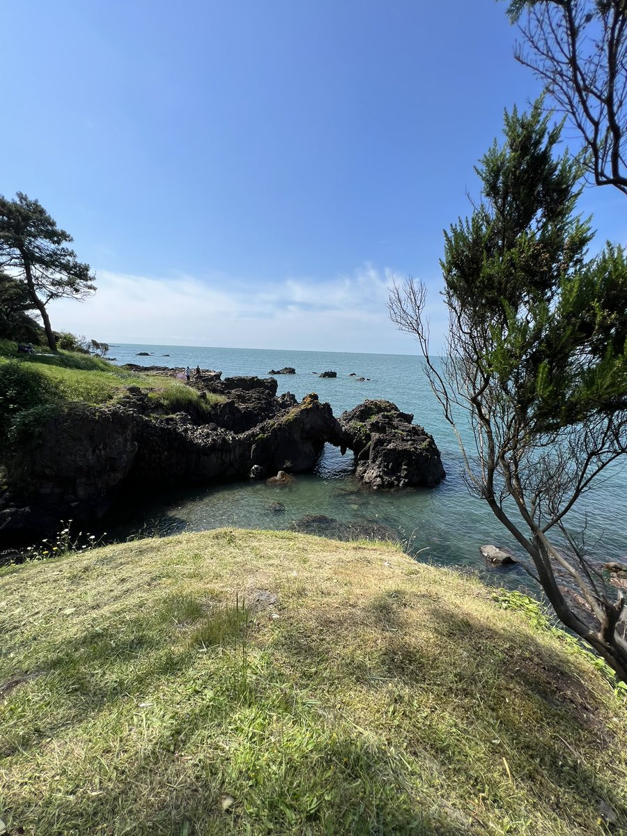 Mahmut Bekir Gürcan tweet media