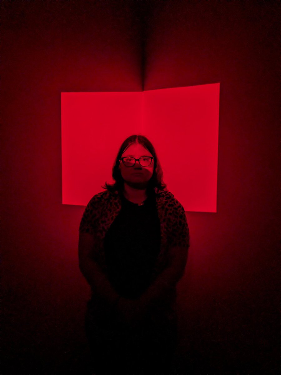 kbdavis_'s tweet photo. artsy fartsy at the mattress factory #PGH https://t.co/6NN00Ydguv