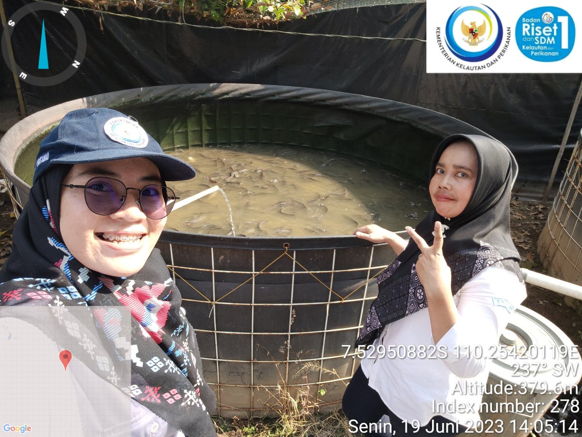 Nurfitrianijafar tweet media