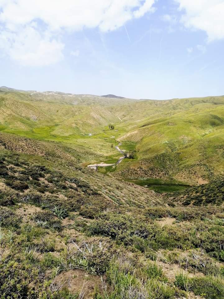 cekdalpan's tweet image. #Çotla