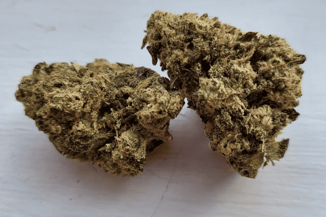cannabis_sensei's tweet photo. ๐ฟ Step into tranquility with Krypto Kush strain. Let its relaxing effects wash away your stress. https://t.co/NF3r1oubUY #KryptoKush #CalmingExperience https://t.co/KSpAEKTvWa