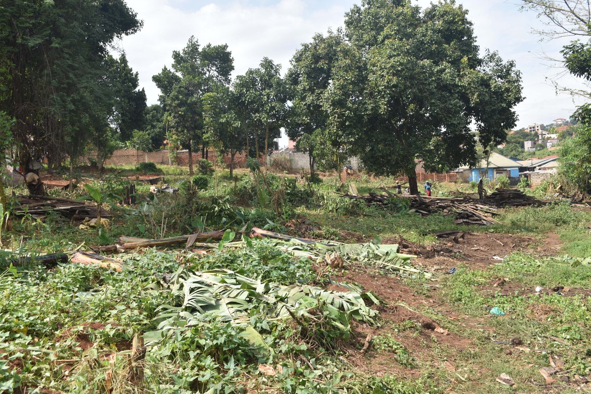 Bulamu256's tweet photo. Malicious damage by machete wilding goons in Tuba - Kulambiro led by LC1, defense and a one Turinawe supported by OC Tuba post.@Tom_Magambo @ODPPUGANDA @nbstv @PoliceUg https://t.co/hSugxwbkkH