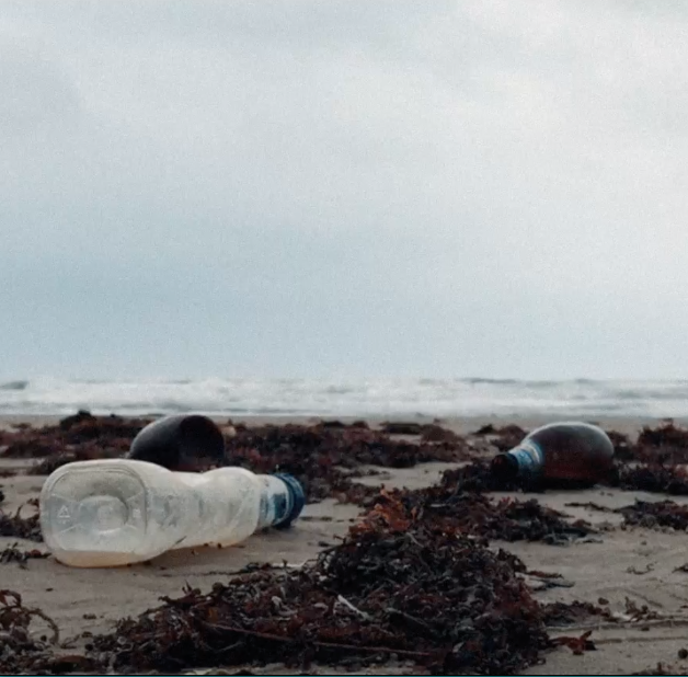 Working with organisations like @sascampaigns is one of the most rewarding things we do. Being able to use our knowledge and expertise of video making to create this uplifting video to kick off their Plastic Free Awards leaves our team fulfilled that they’re doing social good.