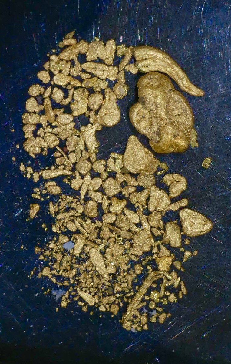 Fy-VWNeaAAEQL4m.jpg?format=jpg