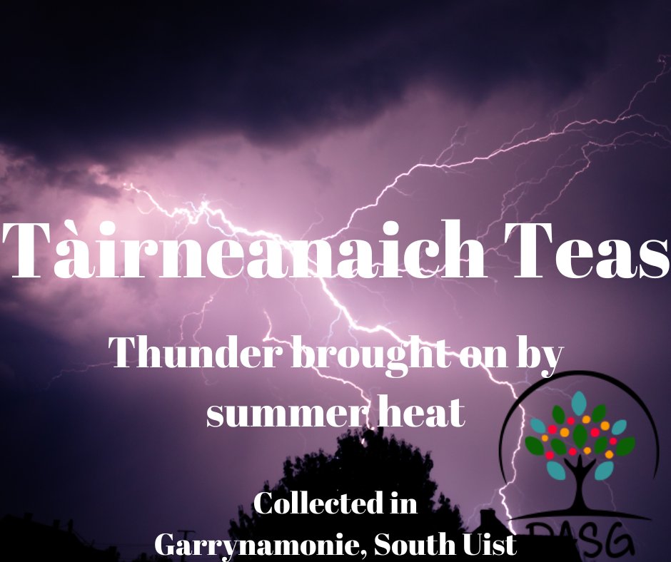 lght.ly/50cdel7
🏜️
TÀIRNEANAICH TEAS - THUNDER BROUGHT ON BY SUMMER HEAT
⛈️
#Teas #Samhradh #Summer #Tàirneanaich #Thunder
🔥
#UibhistADeas #SouthUist #InnseGhall #ScottishHebrides
-
#Alba #Scotland
#Gàidhlig #Gaelic #ScottishGaelic
#DigitalArchiveofScottishGaelic #DASG