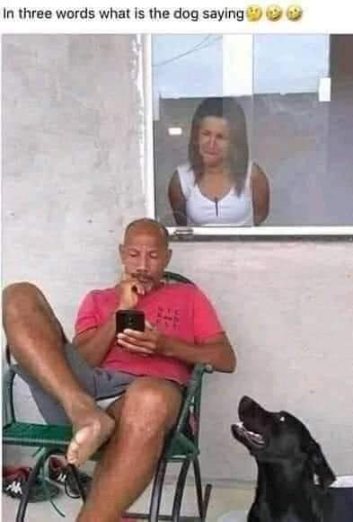 In 3 words wats the dog trying to say