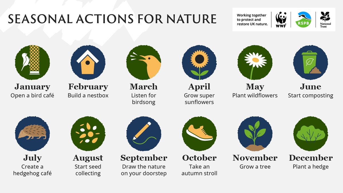 #DidYouKnow you can help #UKNature all year round, on your very own doorstep? 🏠

From listening to bird song and taking a stroll, to seed collecting and composting - there's an action for every season! 🌸🌱

Be sure to save our handy guide for inspiration. 💚 
#SaveOurWildIsles