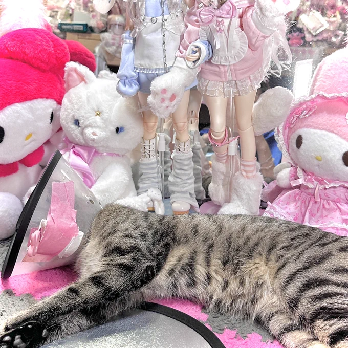 可愛い