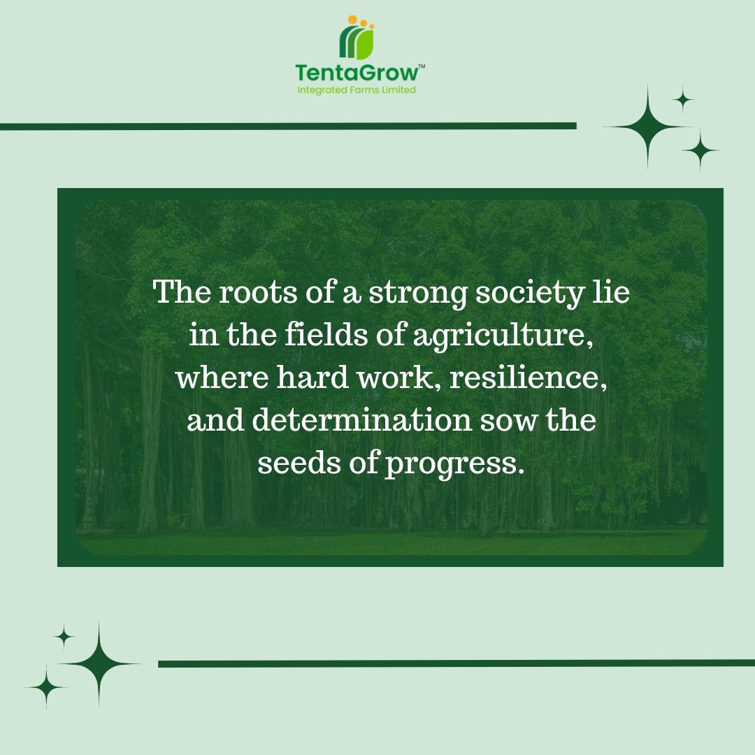 The significance of agriculture cannot be overstated. It is the foundation of our global food system, ensuring that we have enough food to feed the growing population.

#Tentagrow #agriculture #growingtogether #MondayMotivation