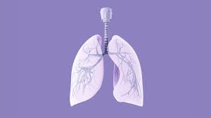 Alexander_Shaq's tweet image. Take one second to
find your breath, your weapon
to survive this world.
#vss365 #breath #motivationmonday #MondayMood #mondaythoughts #5amwritersclub #writingcommunity #Poetrycommunity