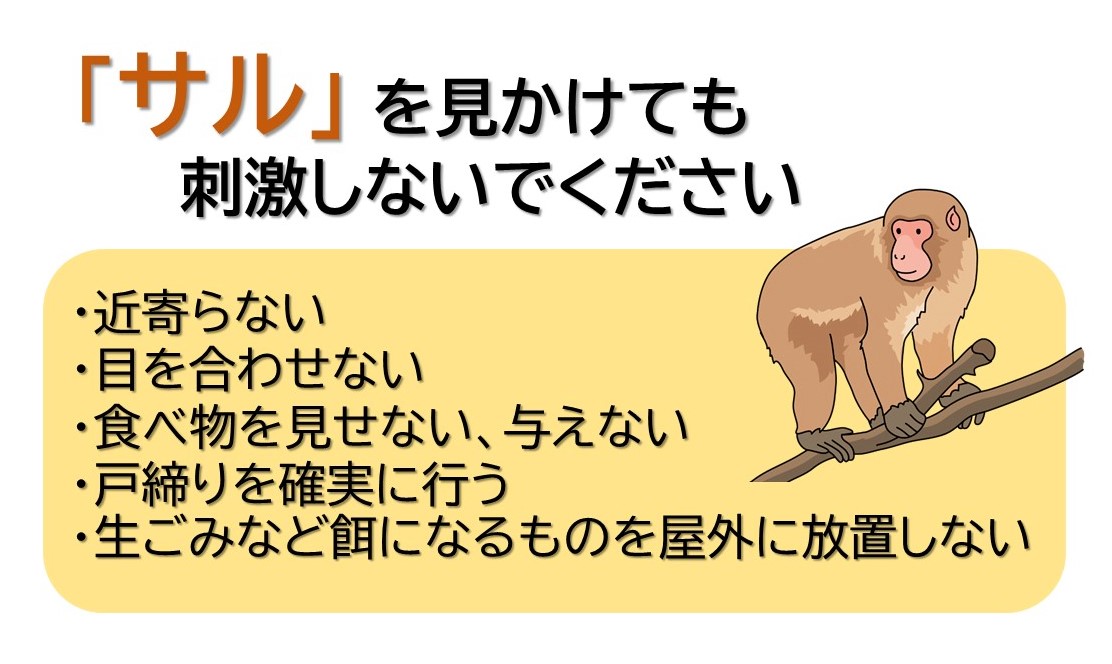 サルが出没しています】 本日16時頃、六万寺町1丁目付近でサルが網戸を