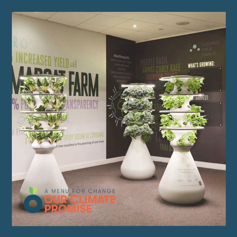 EurestUK (@eurestuk) on Twitter photo Introducing our new urban farm – growing up to 198 edible plants all year round! 🌿 🌱
As part of our Climate Promise we have partnered with <a href="/squaremilefarms/">squaremilefarms</a> to install an urban farm into our parent company’s headquarters.
In one month’s time, the farm will be harvested and Introducing our new urban farm – growing up to 198 edible plants all year round! 🌿 🌱
As part of our Climate Promise we have partnered with <a href="/squaremilefarms/">squaremilefarms</a> to install an urban farm into our parent company’s headquarters.
In one month’s time, the farm will be harvested and