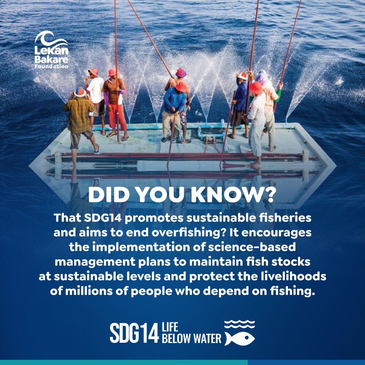 #sdg14 emphasizes the importance of our oceans and calls for sustainable fishing and increasing scientific knowledge to conserve and sustainably use the oceans, seas and marine resources for sustainable development.

#lbf #sdg14 #lbfocean #lekanbakarefoundation

 @eu_partnerships…