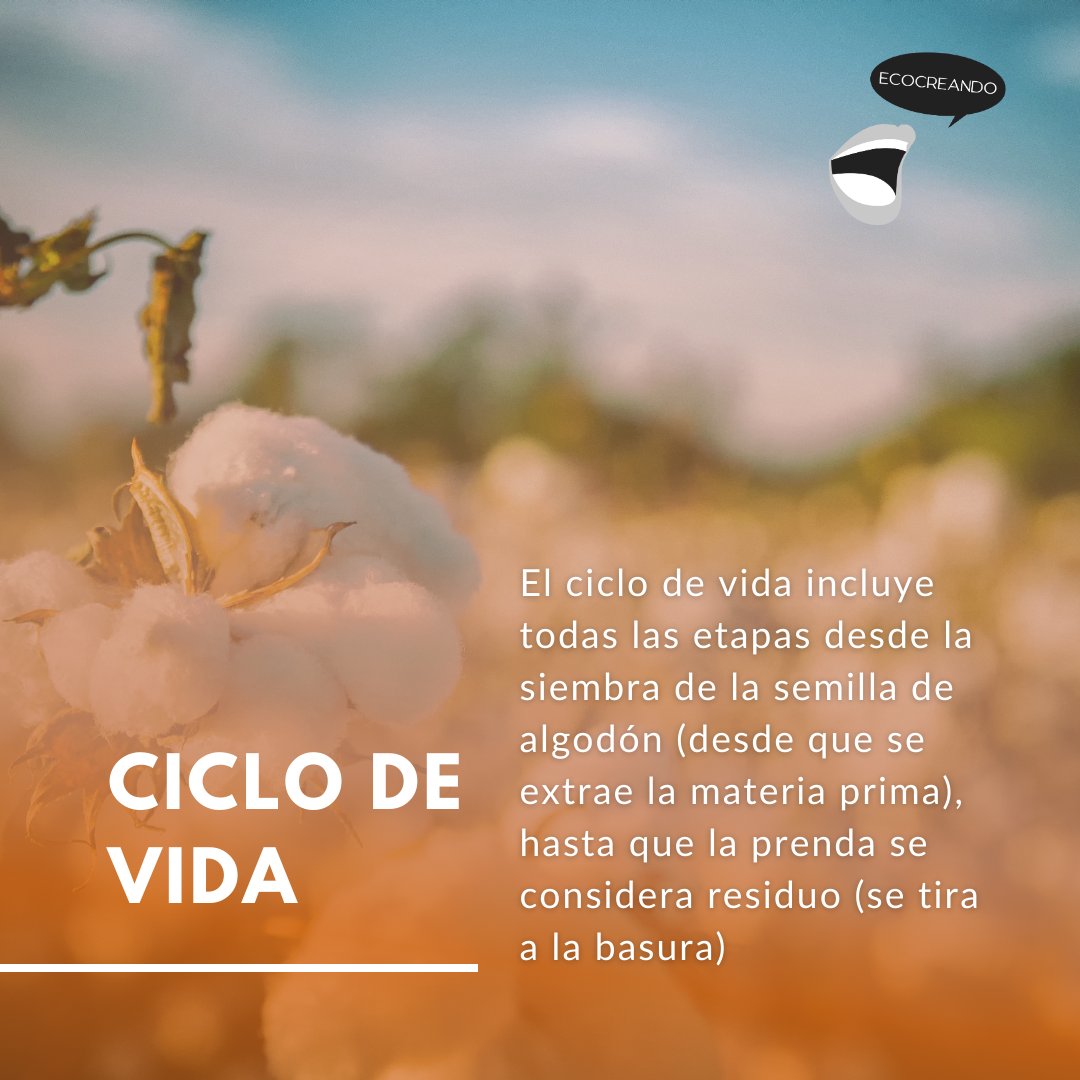 EcocreandoP's tweet photo. EPISODIO 13 - MODA RÁPIDA VS MODA SOSTENIBLE 👚
Para analizar los impactos del sector textil, es necesario hacerlo en todo el ciclo de vida pero... ¿cuál es?
🎧 https://t.co/qVtgKk7FSo
#pequeñosgestosgrandescambios
#ciclodevida #basura #impacto #impactoambiental #impactosocial https://t.co/cldTCpidgZ