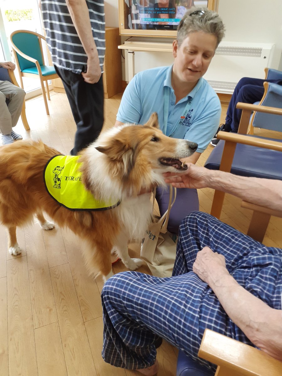 We had a lovely visit to Maple Villa this morning with Mel Hughes and Ollie from @CanineConcern @TherapetC discussing how Therapets can be of value to the patients.  One gentleman even enjoyed a walk around the garden. #therapets #dogtherapy @NHS_Lothian @sharon_sansome