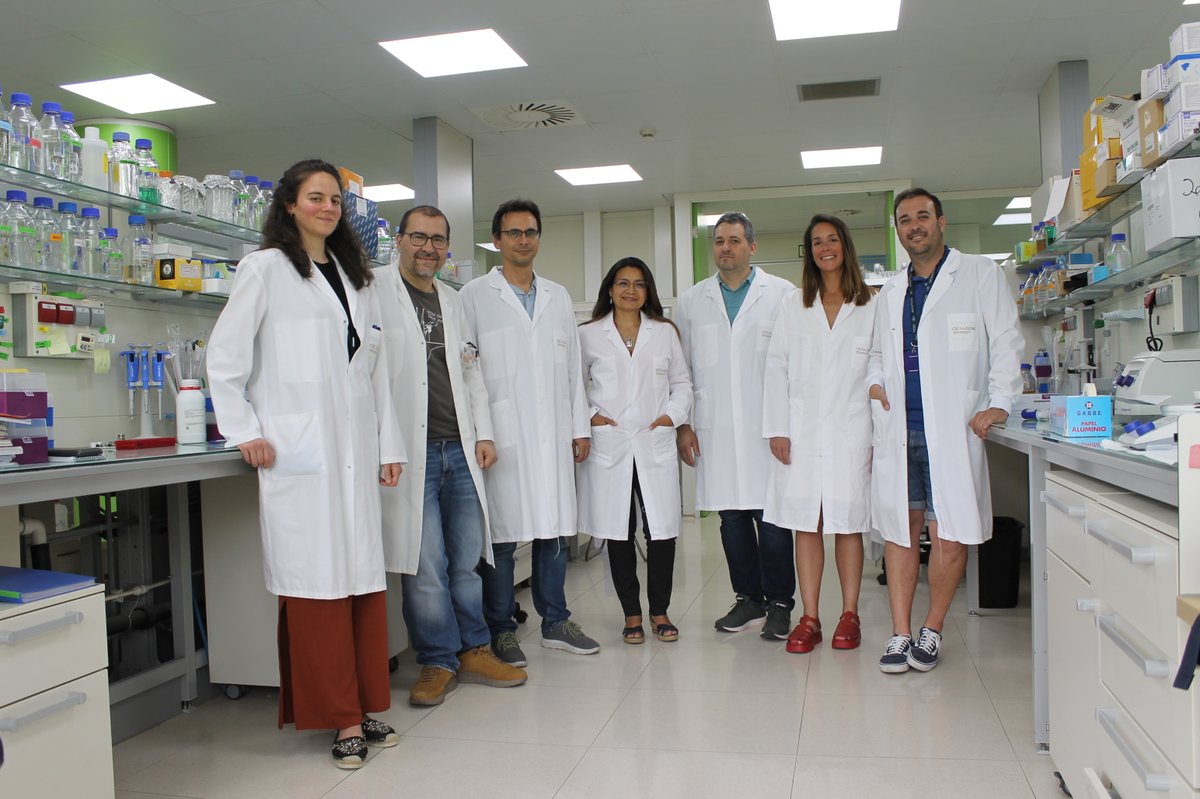 Ikerbasque (@ikerbasque) on Twitter photo 🔴Aitor Hierro, <a href="/Ikerbasque/">Ikerbasque</a> researcher at <a href="/CICbioGUNE/">CIC bioGUNE</a>, has lead a research that achieves an understanding of the protein recycling process at an atomic level: Proteins that need to be recycled coordinate their own "selective collection" ow.ly/W9ba50ORwXe Congrats!@brta_eus 🔴Aitor Hierro, <a href="/Ikerbasque/">Ikerbasque</a> researcher at <a href="/CICbioGUNE/">CIC bioGUNE</a>, has lead a research that achieves an understanding of the protein recycling process at an atomic level: Proteins that need to be recycled coordinate their own "selective collection" ow.ly/W9ba50ORwXe Congrats!@brta_eus