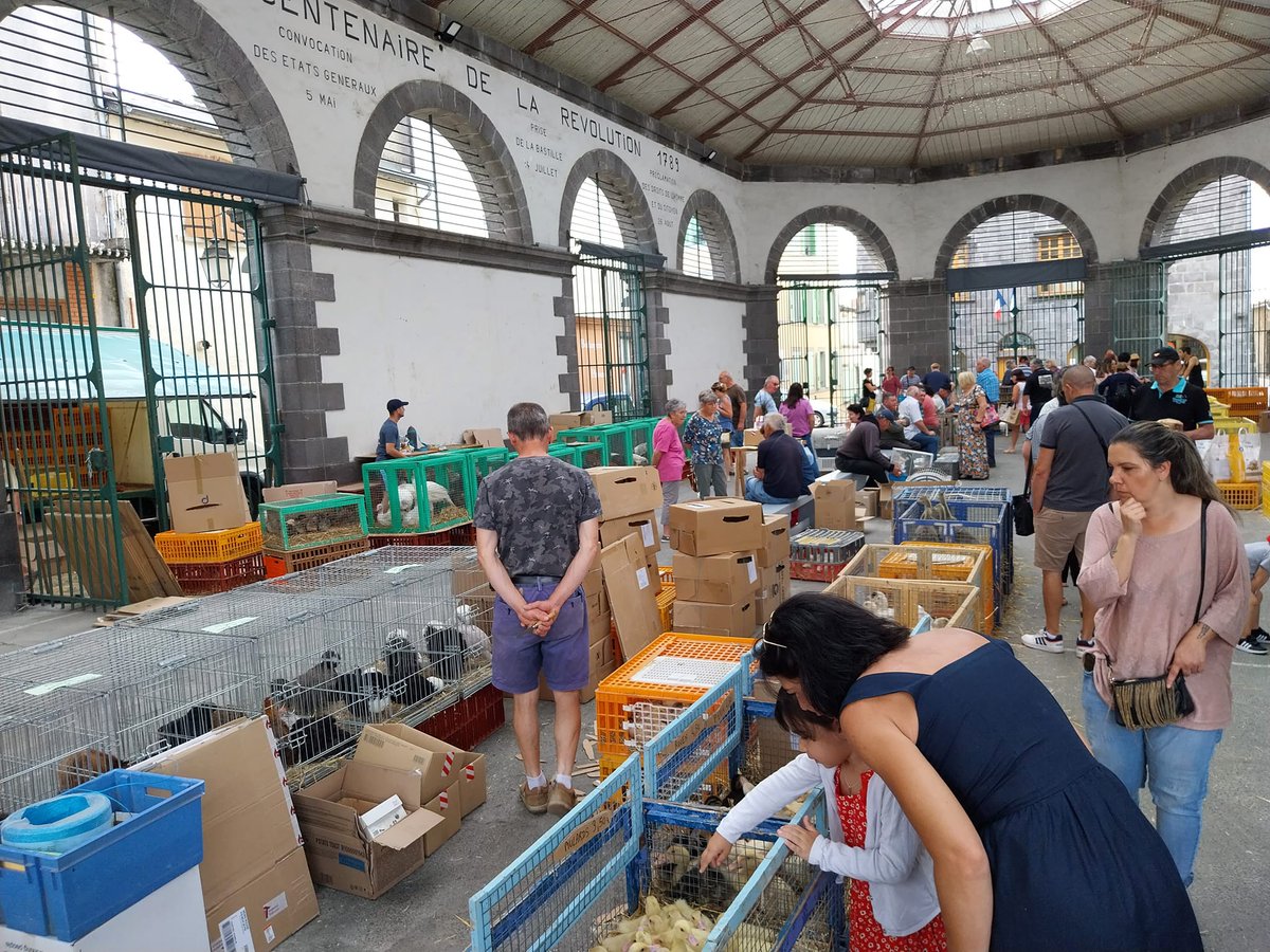 RCF puy-de-dôme (@rcfpuydedome) on Twitter photo Le 11/12 de RCF en direct du marché de #Maringues pour fêter l'arrivée imminente de l'été 😎! <a href="/TerraVolcana/">Terra Volcana, les Pays de Volvic</a> #Auvergne #marches Le 11/12 de RCF en direct du marché de #Maringues pour fêter l'arrivée imminente de l'été 😎! <a href="/TerraVolcana/">Terra Volcana, les Pays de Volvic</a> #Auvergne #marches