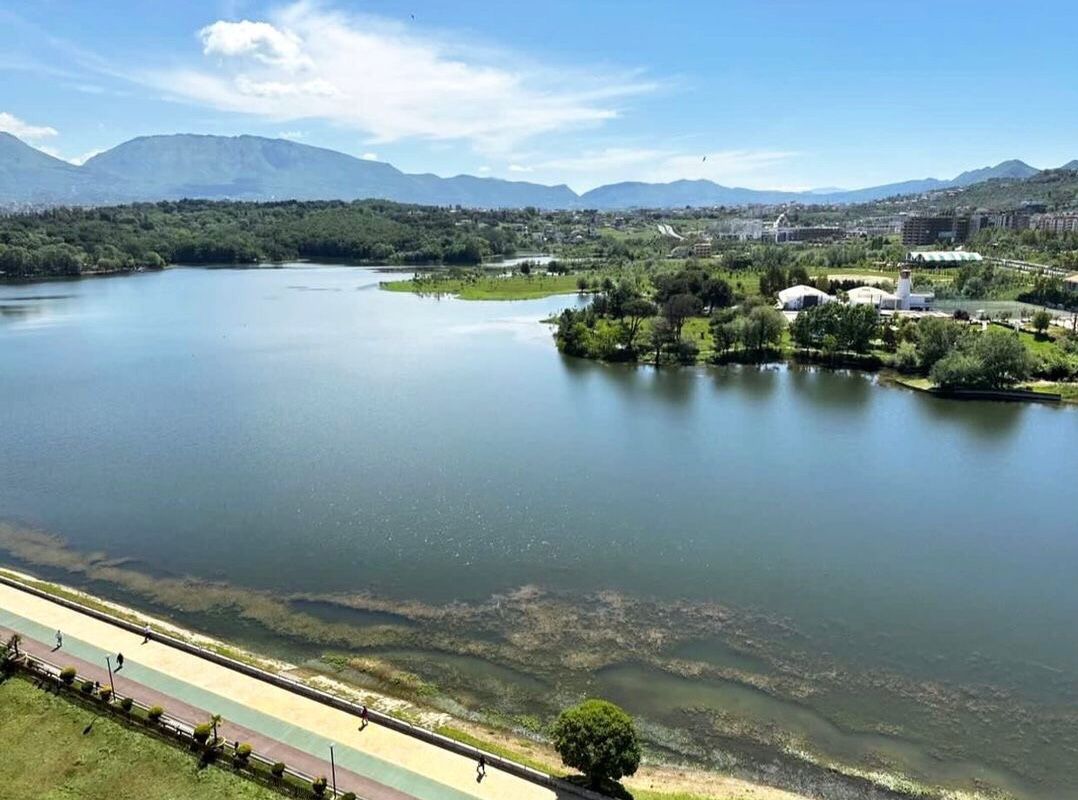 VisitTirana's tweet photo. Take a walk in the presence of our lake to relax your mind and soul!
#tiranasummer2023 #visittirana #tiranalake #panorama #mirrorwater
.
.
.
📷 @visit_albania_4 https://t.co/XnA5ghFrzA