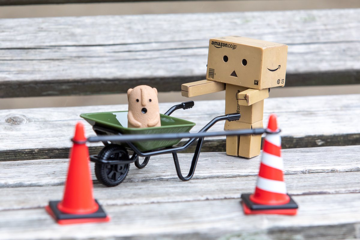 つかちん(っ'-' )╮ =͟͟͞͞📸 tweet media