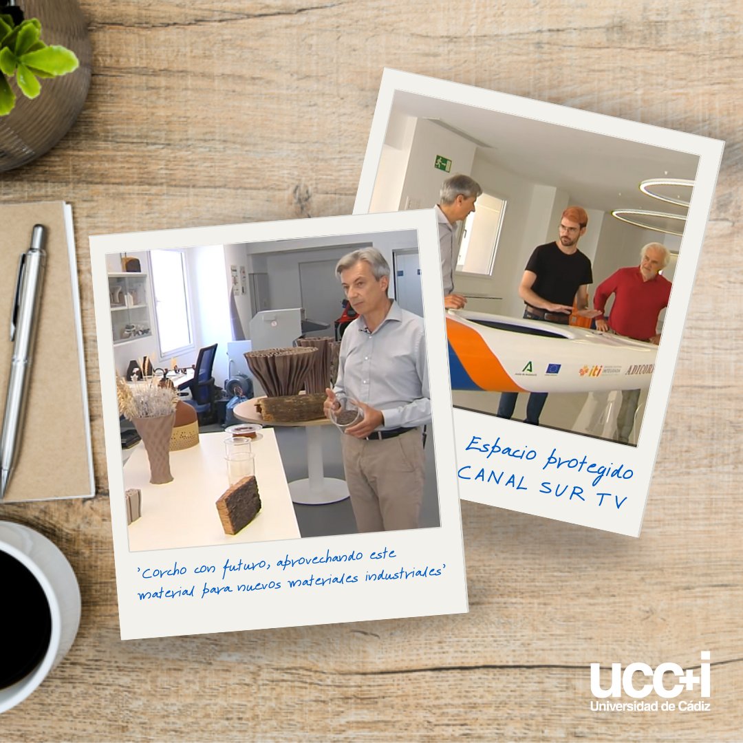 UCC+i - Universidad de Cádiz tweet media