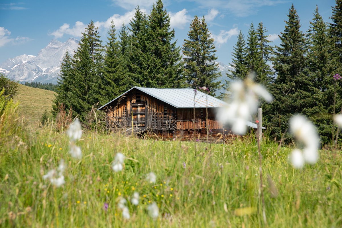 Tipp der Woche: Erlebe Kulturgeschichte und Natur hautnah. Auf dem Walserweg in Obersaxen begleiten dich informative Tafeln über die Geschichte der Region. Auf 1'676 m.ü.M. angekommen, erwartet dich ein faszinierendes Bergpanorama. 
zurl.co/9dkY 
#surselva #graubuenden